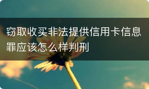 窃取收买非法提供信用卡信息罪应该怎么样判刑