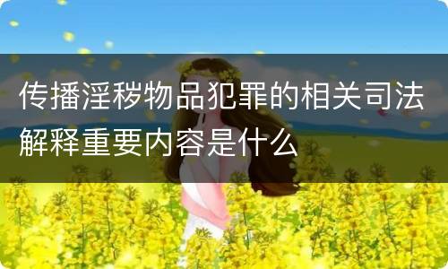传播淫秽物品犯罪的相关司法解释重要内容是什么