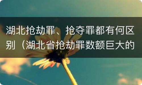 湖北抢劫罪、抢夺罪都有何区别（湖北省抢劫罪数额巨大的标准）