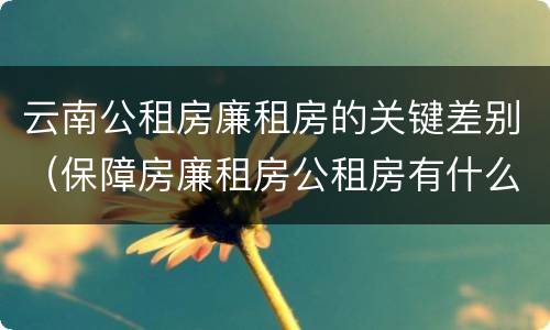 云南公租房廉租房的关键差别（保障房廉租房公租房有什么区别）