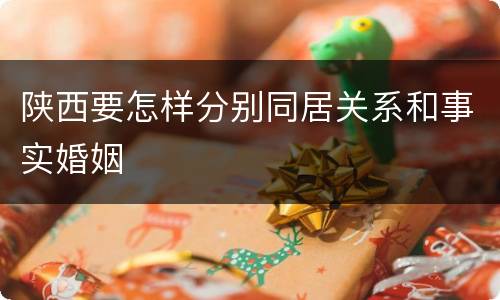 陕西要怎样分别同居关系和事实婚姻