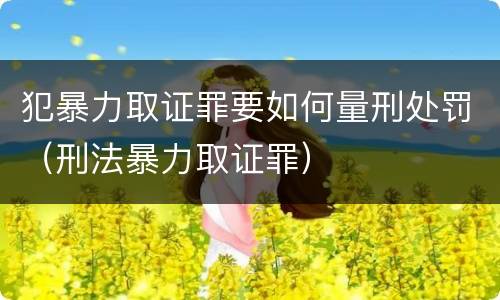 犯暴力取证罪要如何量刑处罚（刑法暴力取证罪）