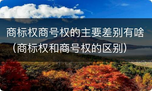 商标权商号权的主要差别有啥（商标权和商号权的区别）