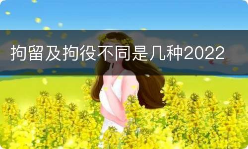 拘留及拘役不同是几种2022