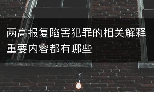 两高报复陷害犯罪的相关解释重要内容都有哪些