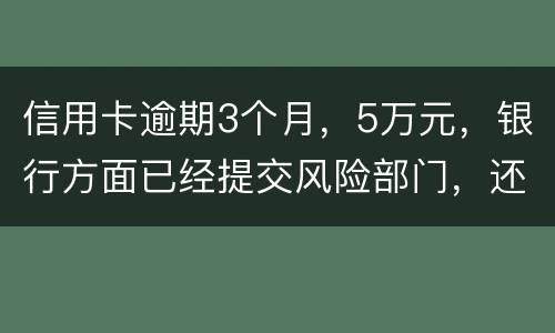 信用卡逾期3个月，5万元，银行方面已经提交风险部门，还不上什么办