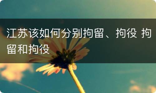 江苏该如何分别拘留、拘役 拘留和拘役