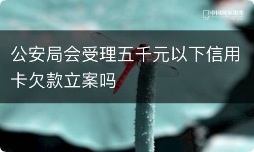 公安局会受理五千元以下信用卡欠款立案吗