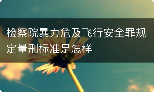 检察院暴力危及飞行安全罪规定量刑标准是怎样