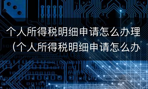 个人所得税明细申请怎么办理（个人所得税明细申请怎么办理手续）