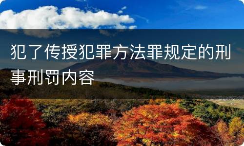 犯了传授犯罪方法罪规定的刑事刑罚内容