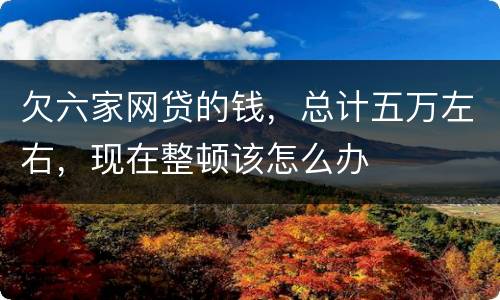 欠六家网贷的钱，总计五万左右，现在整顿该怎么办