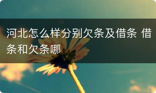 河北怎么样分别欠条及借条 借条和欠条哪