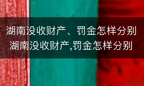 湖南没收财产、罚金怎样分别 湖南没收财产,罚金怎样分别缴纳