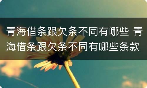 青海借条跟欠条不同有哪些 青海借条跟欠条不同有哪些条款