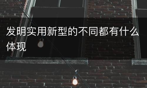 发明实用新型的不同都有什么体现