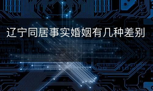 辽宁同居事实婚姻有几种差别
