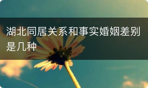 湖北同居关系和事实婚姻差别是几种