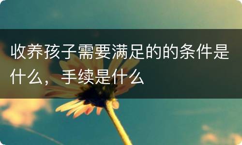 收养孩子需要满足的的条件是什么，手续是什么