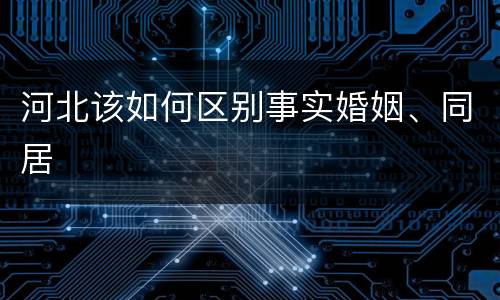 河北该如何区别事实婚姻、同居
