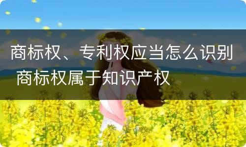 商标权、专利权应当怎么识别 商标权属于知识产权