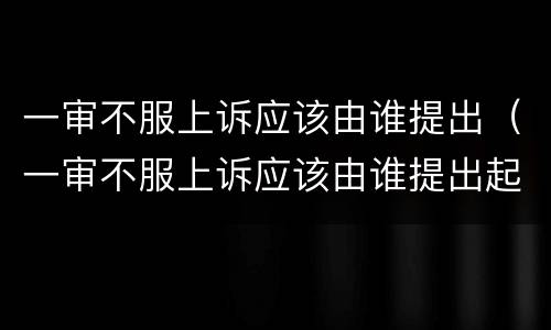 一审不服上诉应该由谁提出（一审不服上诉应该由谁提出起诉）