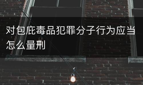 对包庇毒品犯罪分子行为应当怎么量刑