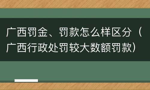 广西罚金、罚款怎么样区分（广西行政处罚较大数额罚款）