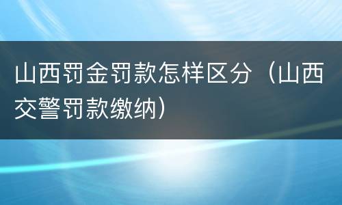 山西罚金罚款怎样区分（山西交警罚款缴纳）