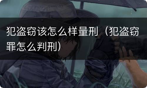 犯盗窃该怎么样量刑（犯盗窃罪怎么判刑）