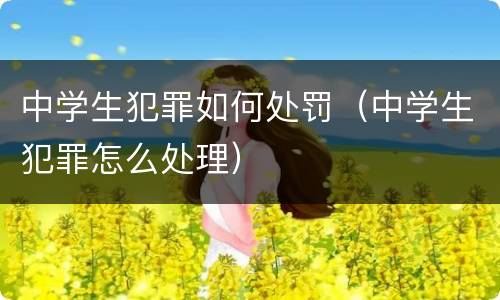 中学生犯罪如何处罚（中学生犯罪怎么处理）