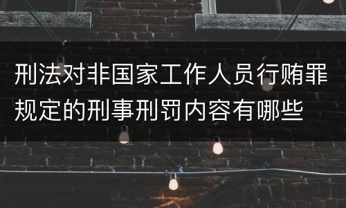 刑法对非国家工作人员行贿罪规定的刑事刑罚内容有哪些