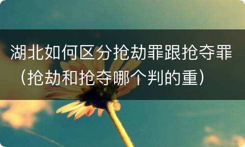 湖北如何区分抢劫罪跟抢夺罪（抢劫和抢夺哪个判的重）