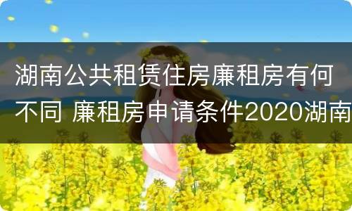 湖南公共租赁住房廉租房有何不同 廉租房申请条件2020湖南 湖南公共租赁住房廉租房有何不同 廉租房申请条件2020湖南