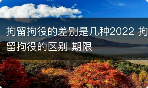 拘留拘役的差别是几种2022 拘留拘役的区别 期限