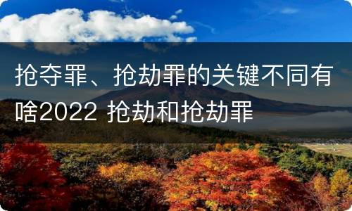 抢夺罪、抢劫罪的关键不同有啥2022 抢劫和抢劫罪