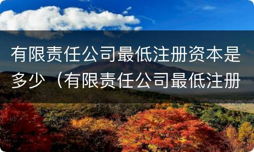 有限责任公司最低注册资本是多少（有限责任公司最低注册资本多少钱）