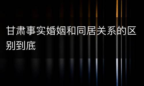 甘肃事实婚姻和同居关系的区别到底