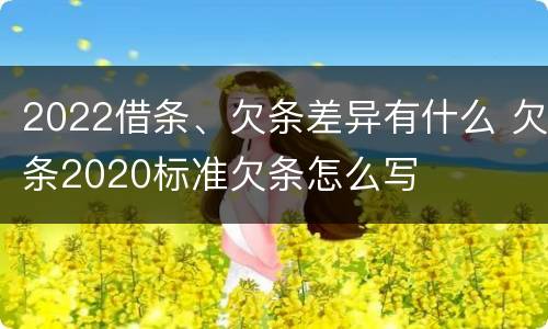 2022借条、欠条差异有什么 欠条2020标准欠条怎么写