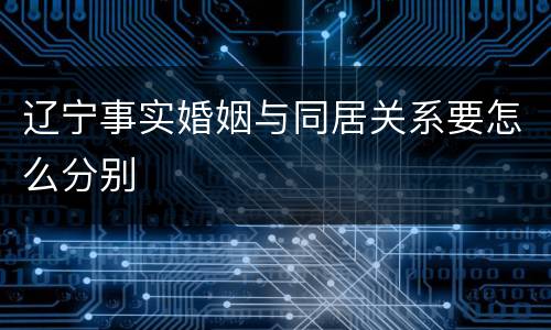 辽宁事实婚姻与同居关系要怎么分别