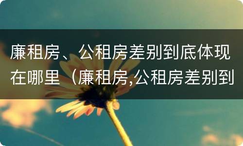 廉租房、公租房差别到底体现在哪里（廉租房,公租房差别到底体现在哪里了）