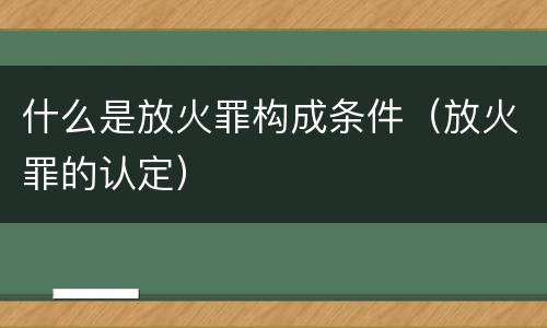 什么是放火罪构成条件（放火罪的认定）
