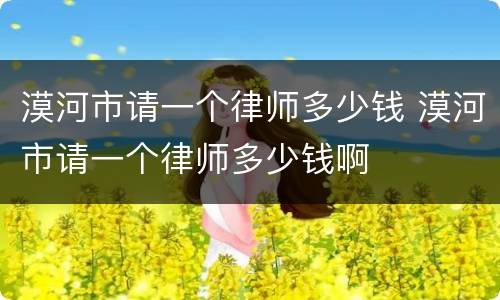 漠河市请一个律师多少钱 漠河市请一个律师多少钱啊