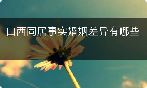 山西同居事实婚姻差异有哪些