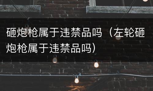 砸炮枪属于违禁品吗（左轮砸炮枪属于违禁品吗）