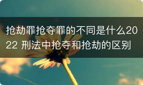 抢劫罪抢夺罪的不同是什么2022 刑法中抢夺和抢劫的区别
