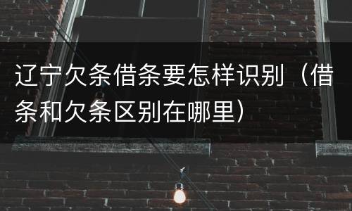 辽宁欠条借条要怎样识别（借条和欠条区别在哪里）