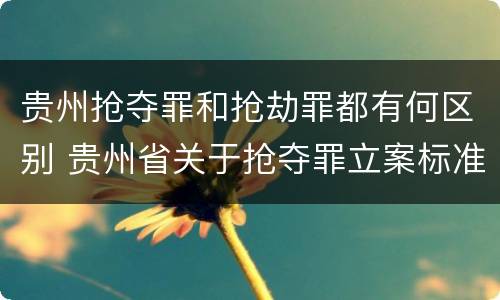 贵州抢夺罪和抢劫罪都有何区别 贵州省关于抢夺罪立案标准