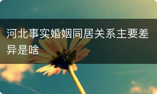河北事实婚姻同居关系主要差异是啥