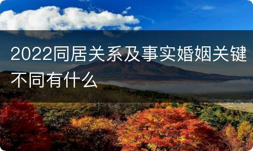 2022同居关系及事实婚姻关键不同有什么